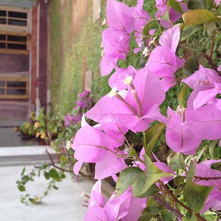Manik Home Stay Kudapaduwa 외부 사진