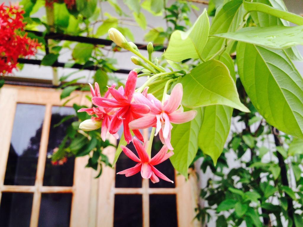 Manik Home Stay Kudapaduwa 외부 사진