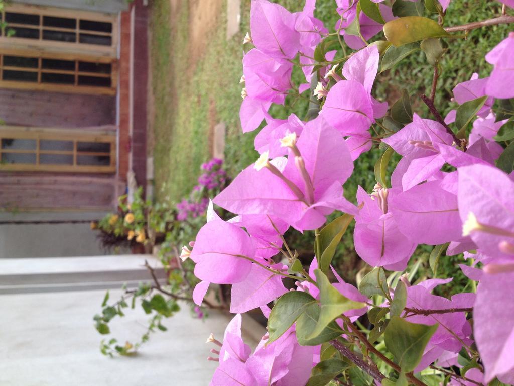 Manik Home Stay Kudapaduwa 외부 사진