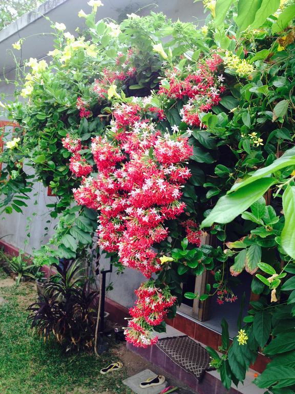 Manik Home Stay Kudapaduwa 외부 사진